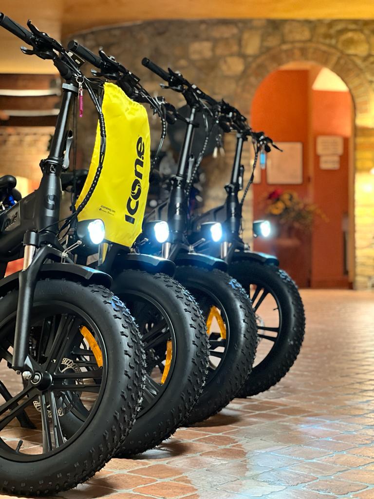 Noleggio Bike ... E-Bike